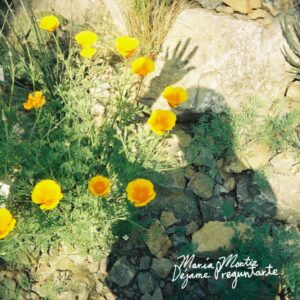 “Déjame Preguntarte”, álbum de María Mortiz: Letras sinceras y producción impecable