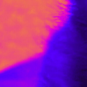 Koalra y su evolución sonora: “In a Weird Way” redefine el indie rock