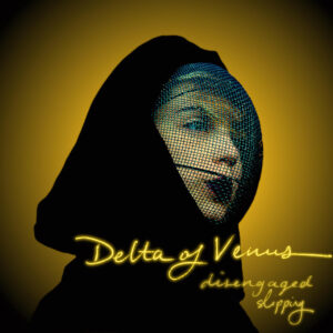 Shoegaze y feminismo en “Disengaged b/w Slipping” de Delta of Venus