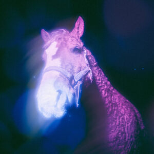 Sonidos rebeldes y melancólicos: Canciones que marcan el momento