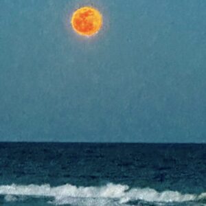 “The Siren” de MatAre: Un hipnótico viaje sonoro al misterio del océano