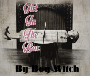 “Girl in the Box” de Wendy DuMond: Folk oscuro y metáforas poderosas