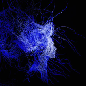 Nuevas Voces del Rock y la Electrónica desde Europa y América Latina