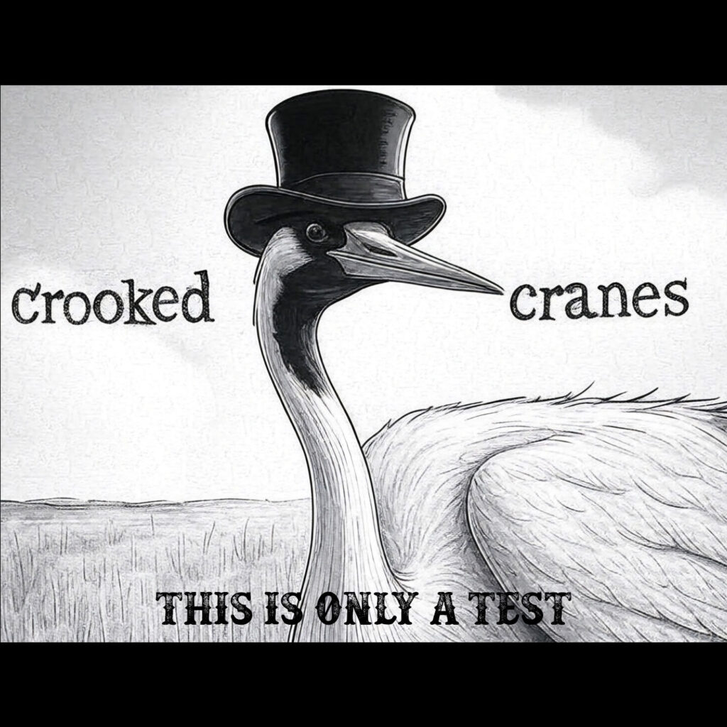 cover EP art Crooked Cranes This is Only a Test