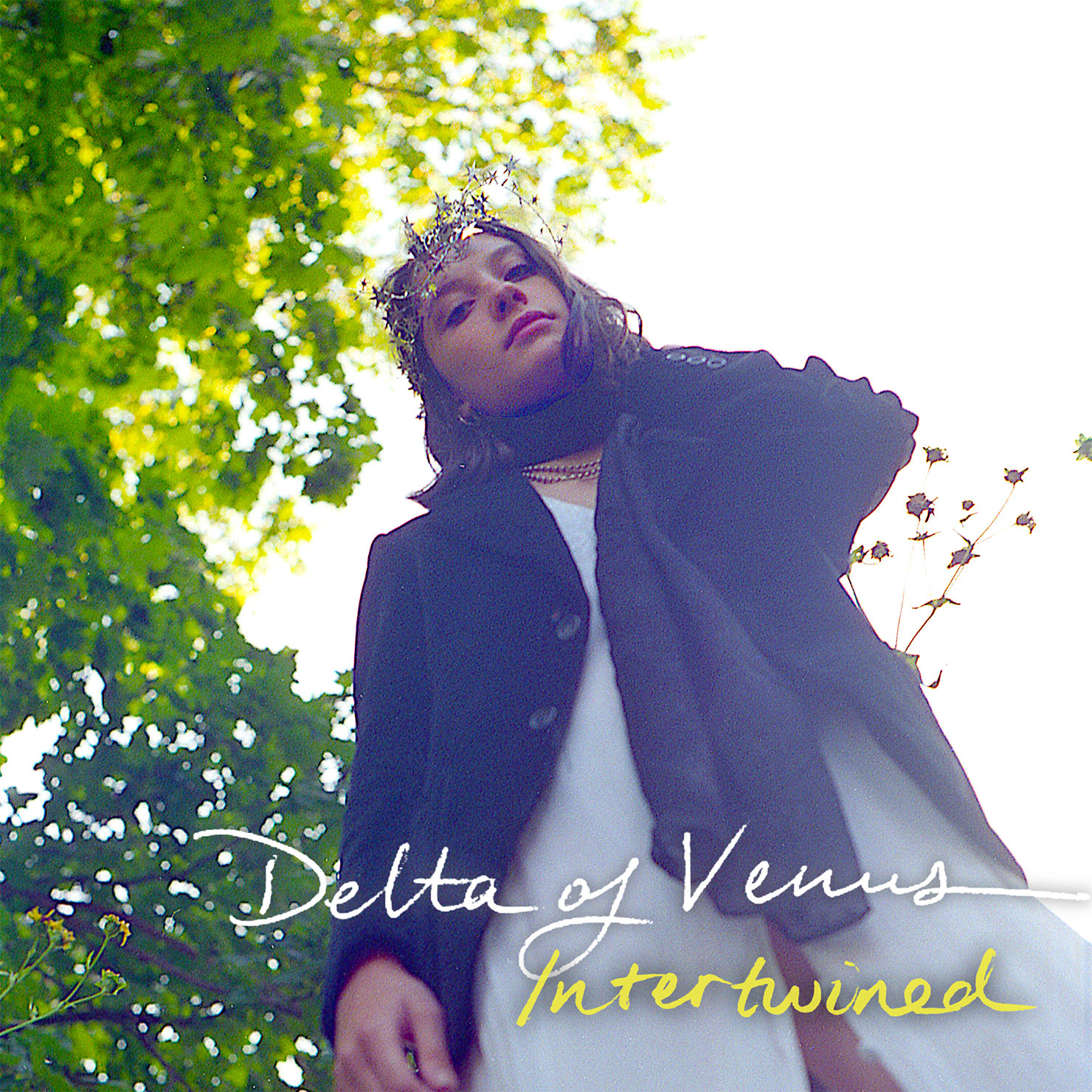 “Intertwined” de Delta of Venus: caos, empatía y guitarras etéreas