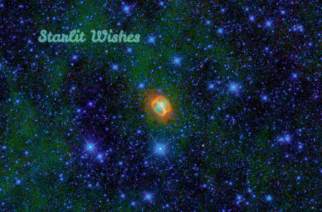 Electrónica etérea y naturaleza: Mai Chashuang deslumbra con “Starlit Wishes”
