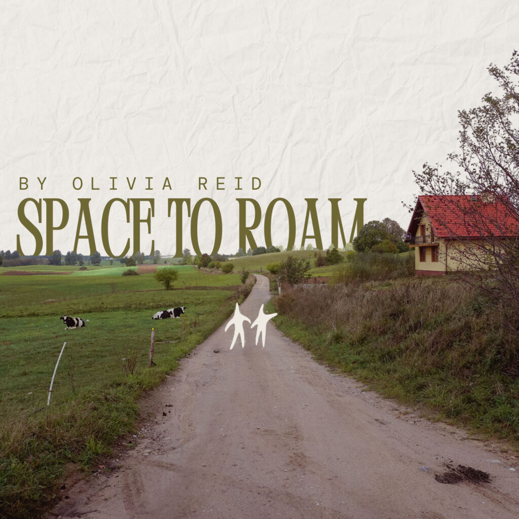 cover single art Olivia Reid Space To Roam