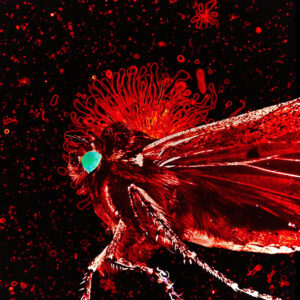 Entre la rabia y la introspección: canciones que exploran el dolor, la memoria y la resistencia