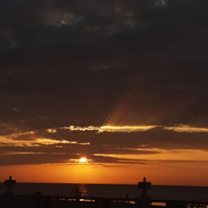 “Al acecho”: introspección psicodélica desde Campeche con Milo Pacheco