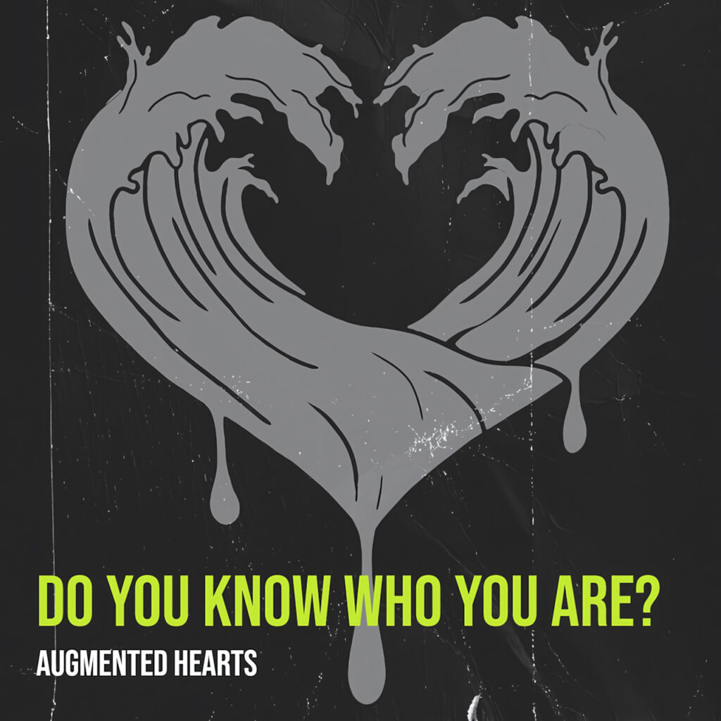 cover single art Augmented Hearts do you know who you are