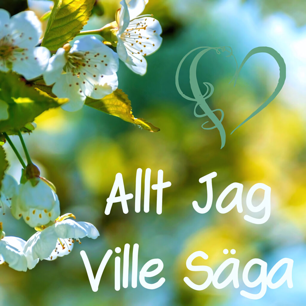 cover single art Project Earthbridge Peter Morlin Allt jag ville saga