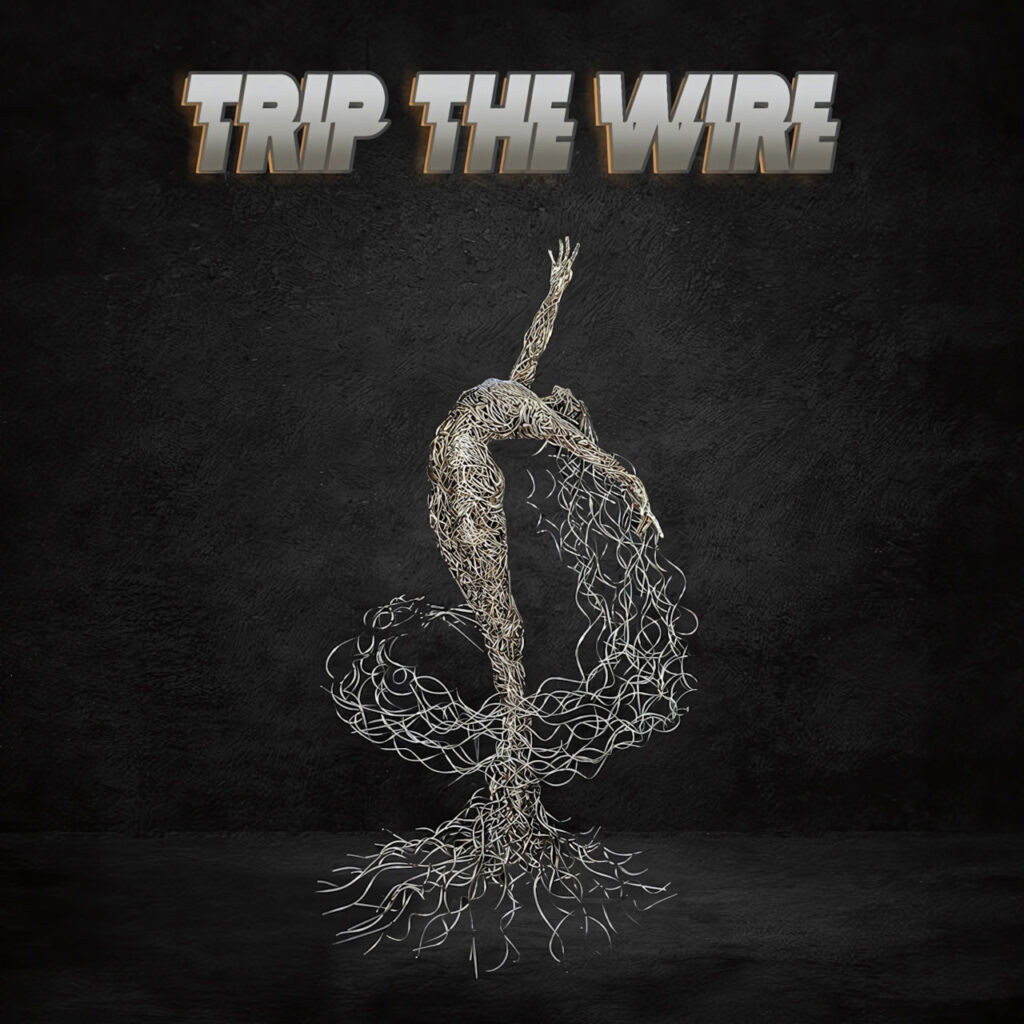 cover single art Trip The Wire Not A Rockstar