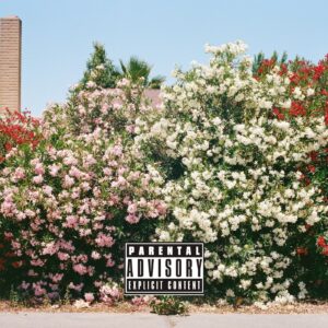 “UK V!BES” de Pronto Valid: Fusión explosiva de hip-hop y house