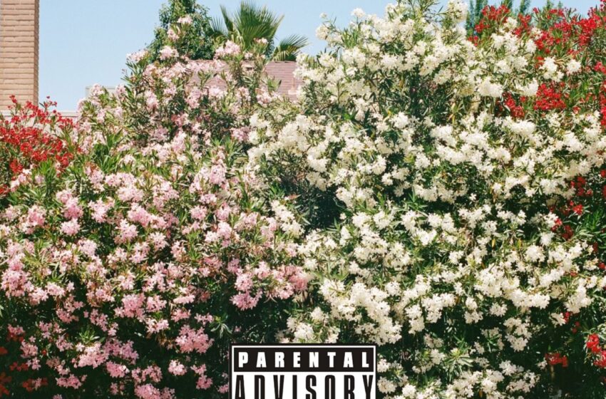  “UK V!BES” de Pronto Valid: Fusión explosiva de hip-hop y house
