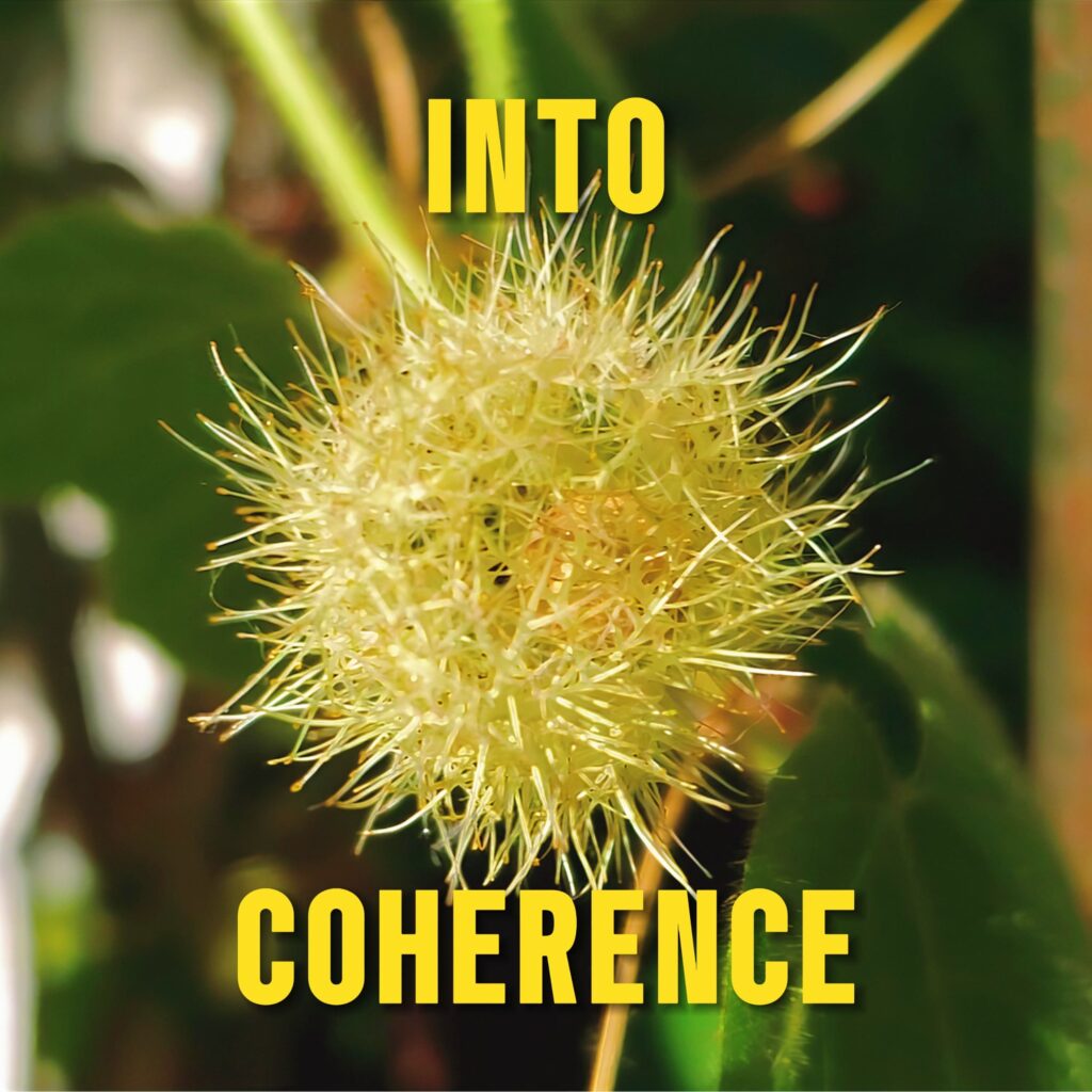 cover single art Second Hand Noise Into Coherence