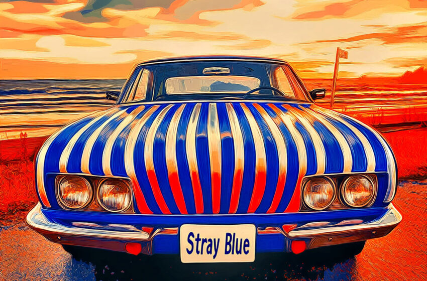  Stray Blue celebra 20 años con una versión acústica llena de nostalgia y esperanza