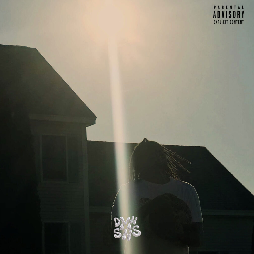 cover single art The Dmnsns Found You Part (Two Pack)