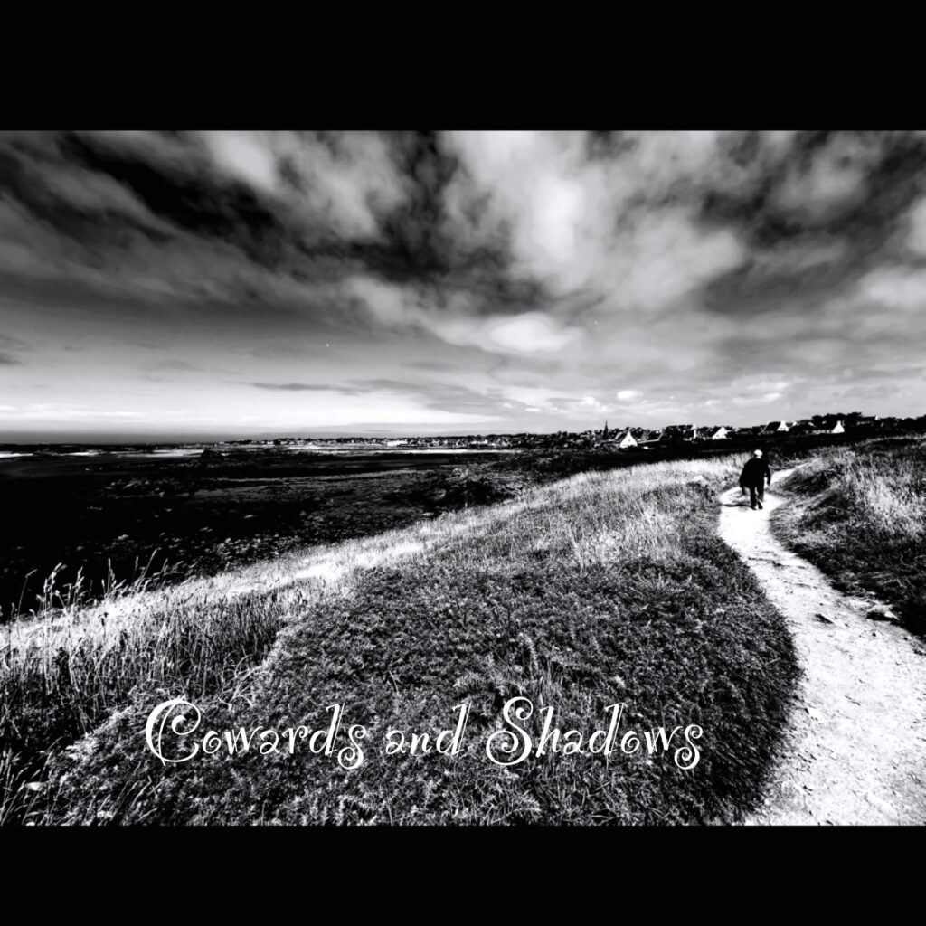 cover single art Fiona Amaka Cowards and Shadows