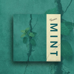 Ritmos, Emociones y Estilos: Cuatro Canciones que Redefinen la Experiencia Musical Contemporánea