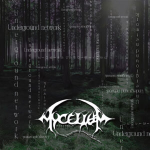 Sonidos que cruzan fronteras: cuatro canciones indie que rompen moldes