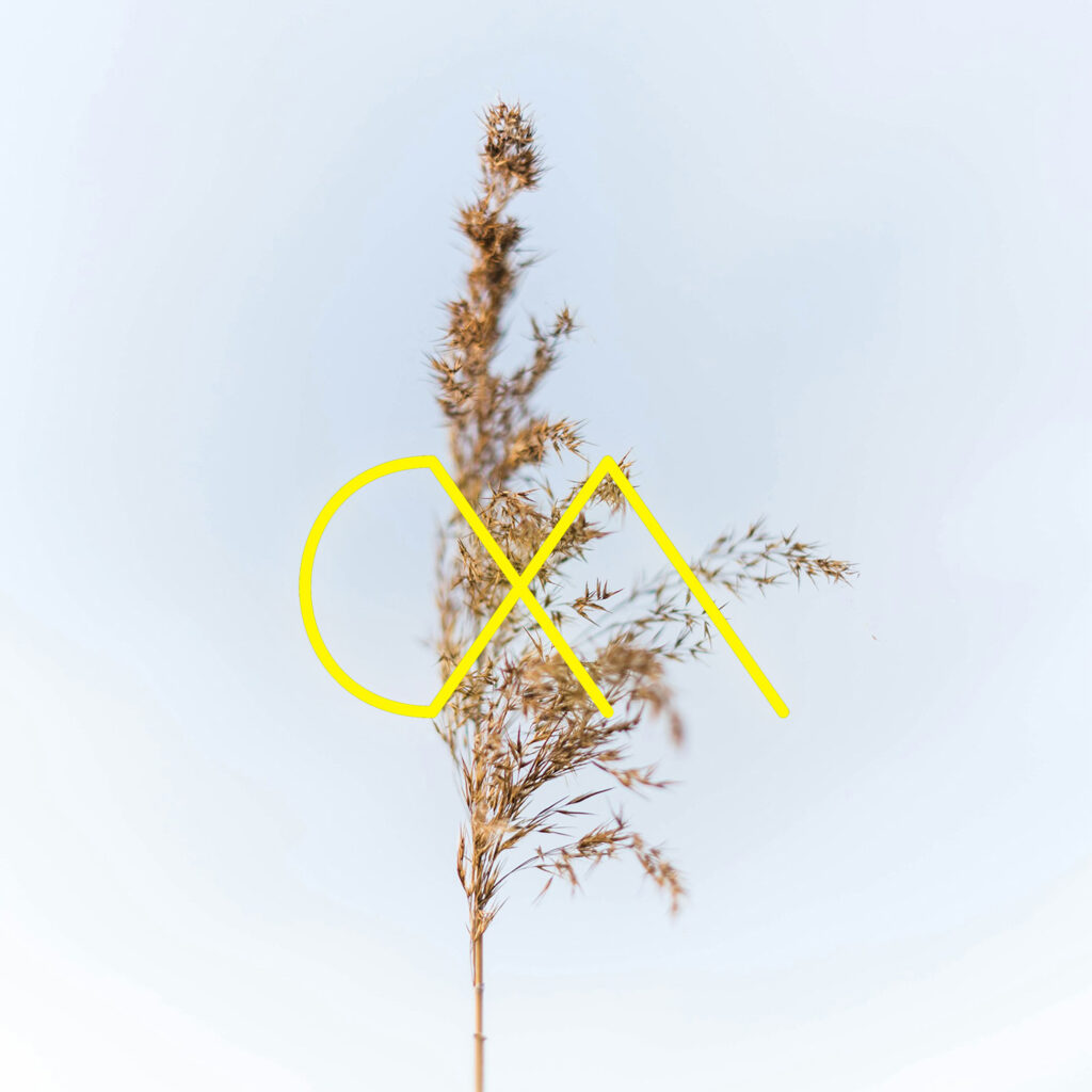 cover single art Clave Morse latidos