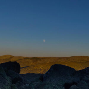 Indie, metal y psicodelia: cuatro estrenos que sorprenden