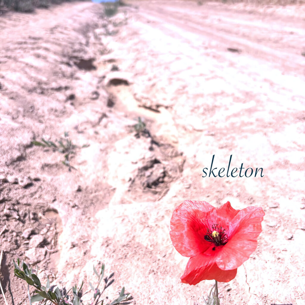 cover single art Mark Weatherley Skeleton