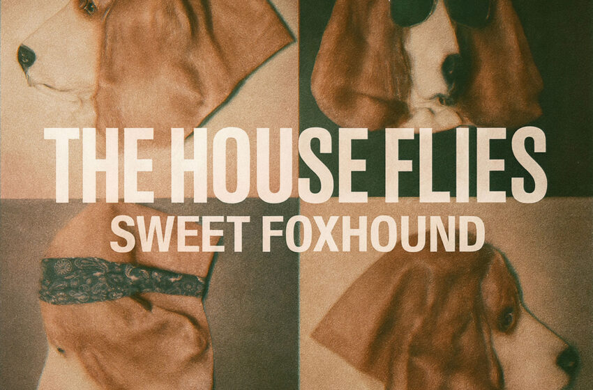  The House Flies regresan con su oscuro single “Sweet Foxhound”