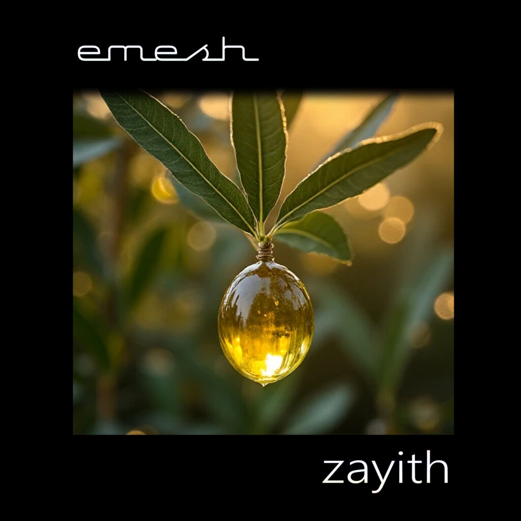 cover single art emesh zayith