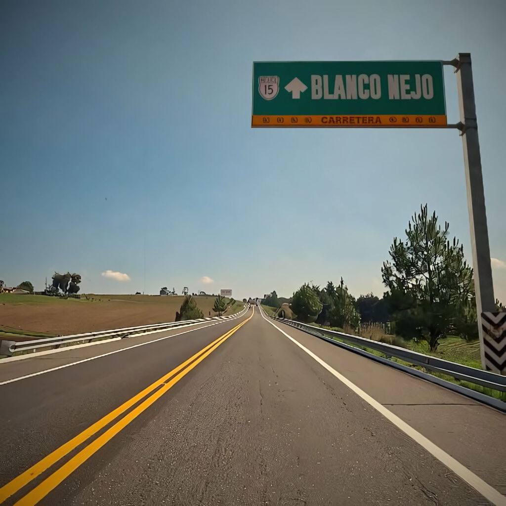 portada single art Blanco Nejo En El Camino