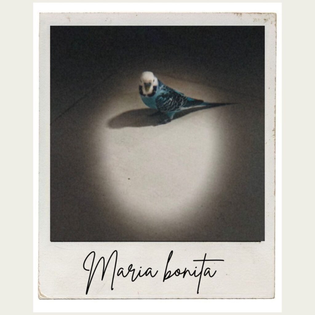 portada single art Para Maria Maria Bonita
