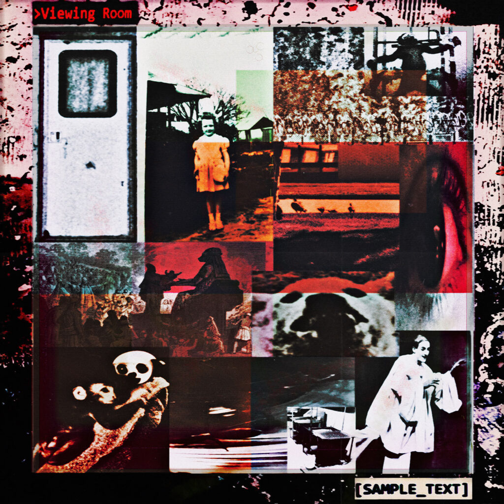 cover album art SAMPLE TEXT Viewing Room