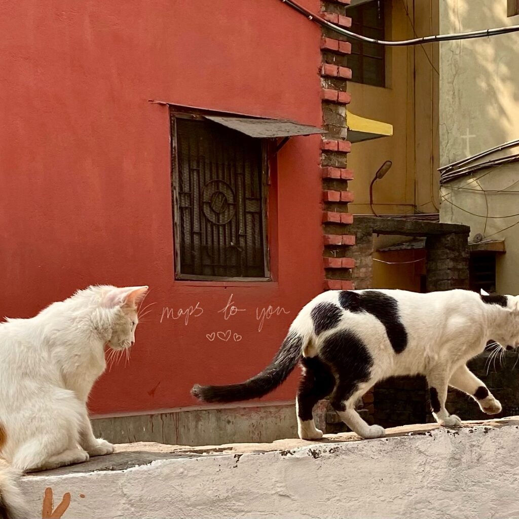 cover single art ALOTHE Maps To You