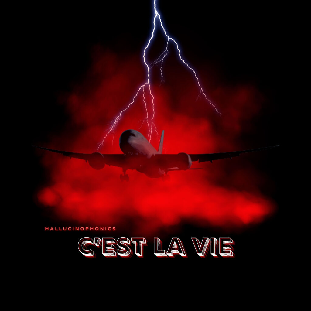 cover single art Hallucinophonics cest la vie