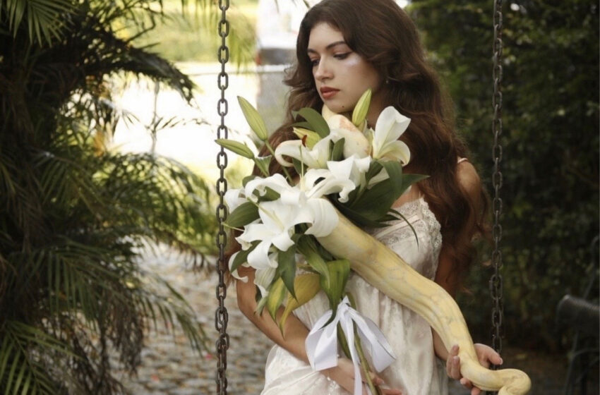  Ecos del amor eterno en “Eurydice (Be My Light)” de Micayla Shafran