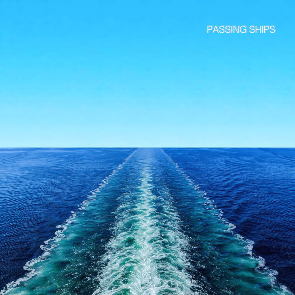 cover single art Shy Plant Passing Ships