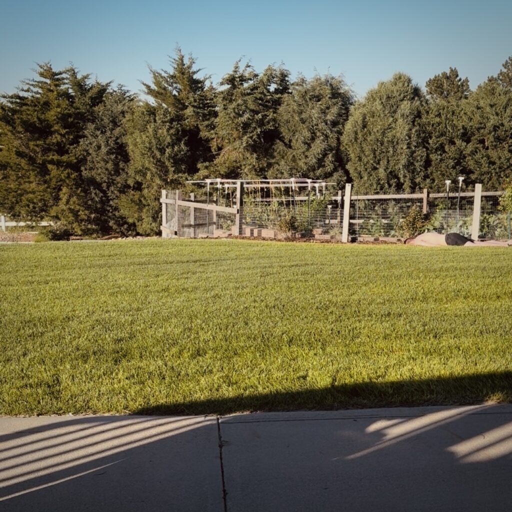 cover single art Tomato Soup Half Evil