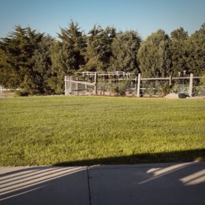 Tomato Soup explora la dualidad humana en “Half Evil”