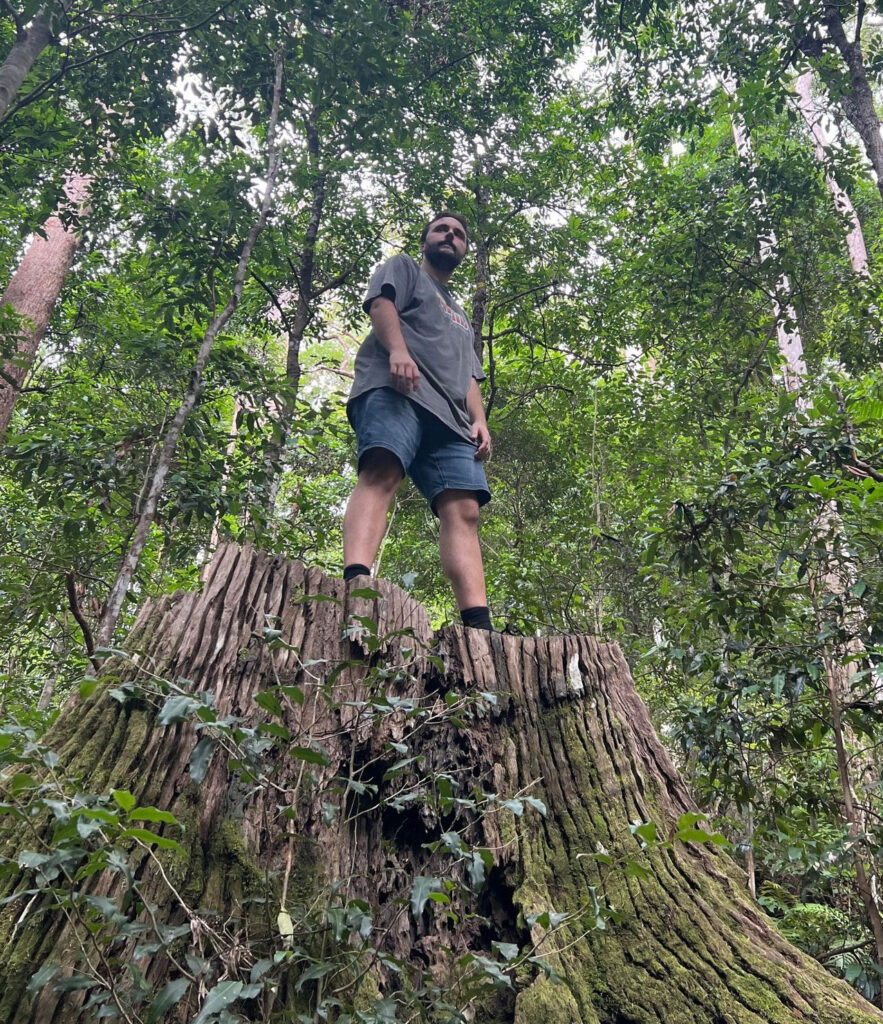 photo Replenished Sky