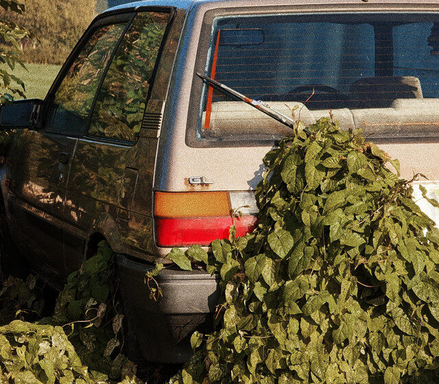  Fusiones, emociones y territorios: cuatro canciones que cruzan fronteras sonoras