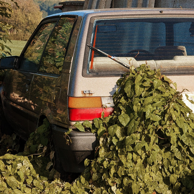Fusiones, emociones y territorios: cuatro canciones que cruzan fronteras sonoras