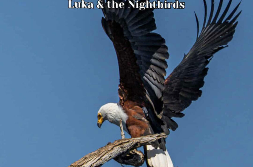  El renacer musical detrás del intenso “Last Resort”