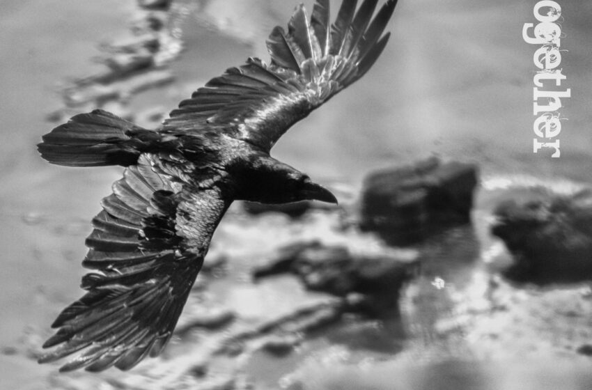  The7thGatekeeper: Fusión de heavy metal y americana