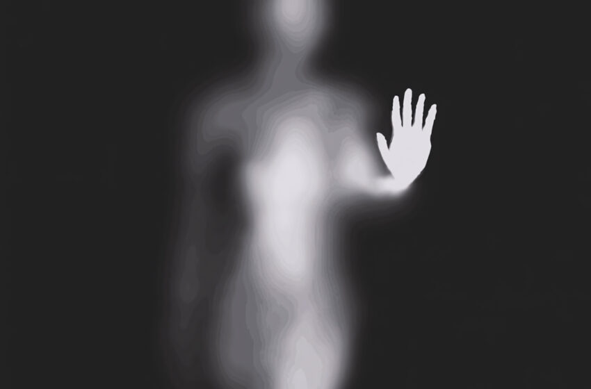  Reggae, grunge y metal: lanzamientos que exploran la emoción