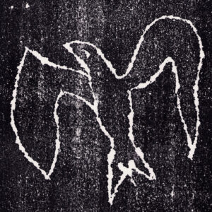 Un viaje post-punk sobre memoria y tiempo fugaz