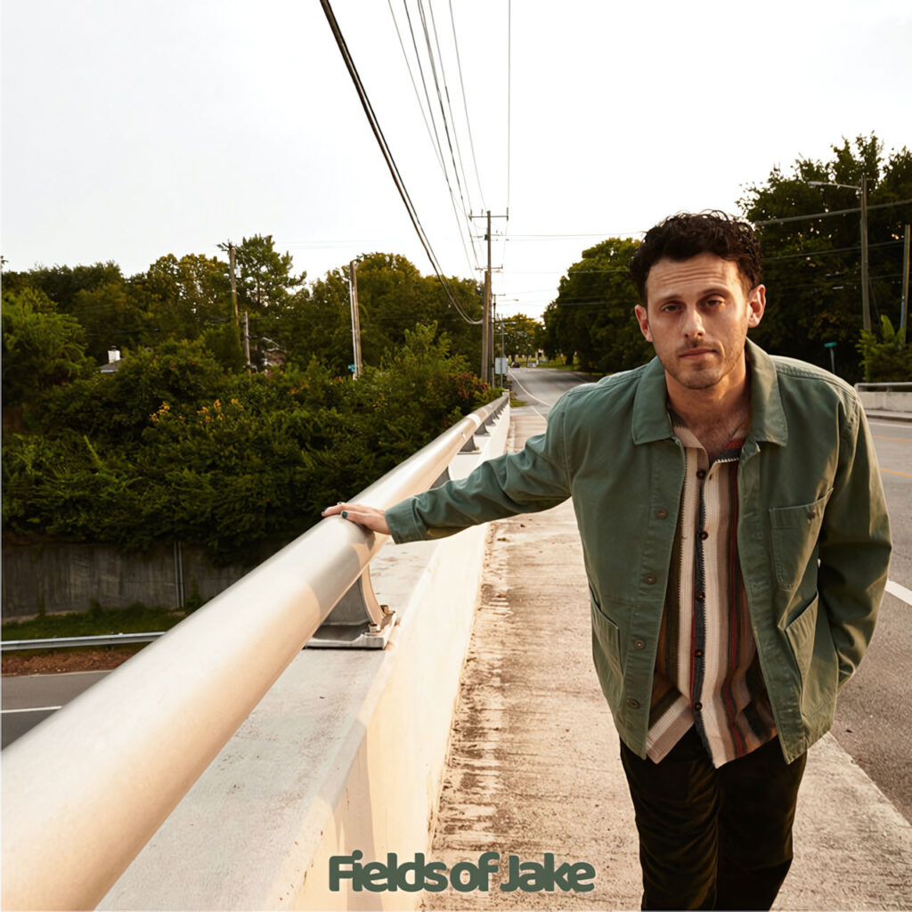 cover single art Fields of Jake If Only It Was up to Me