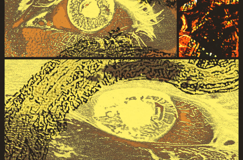  “I See You”: electro-punk combativo desde el Reino Unido