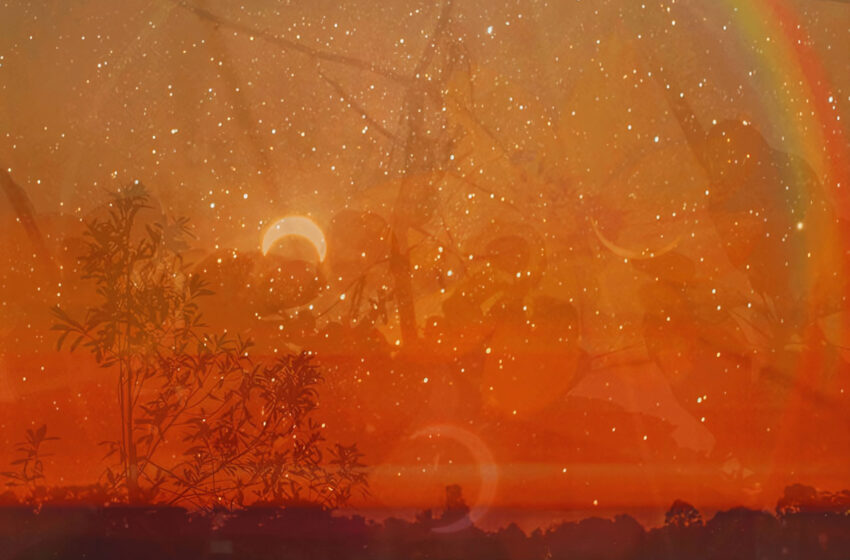  Entre el dolor y la creación: viajes sonoros del rock