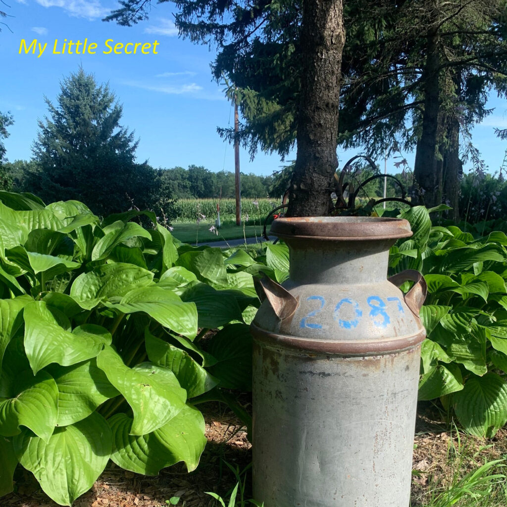 cover single art Kent Owens My Little Secret