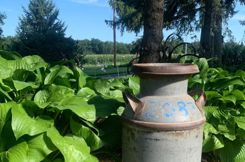  Kent Owens explora los secretos del alma en “My Little Secret”